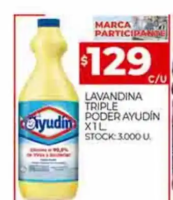 Supermercados DIA Lavandina Trpile Poder Ayudín x 1 L. oferta