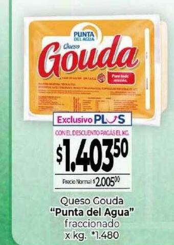 La Anonima Queso gouda oferta