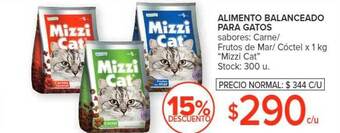 Carrefour Alimento balanceado para gatos oferta