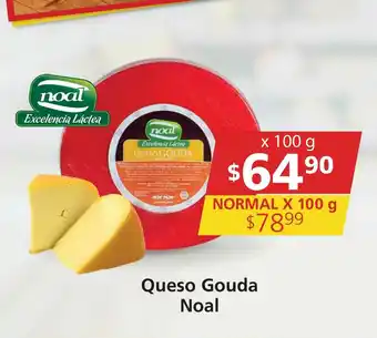 Queso Gouda Noal x100g