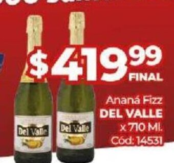 Diarco Ananá Fizz Del Valle oferta
