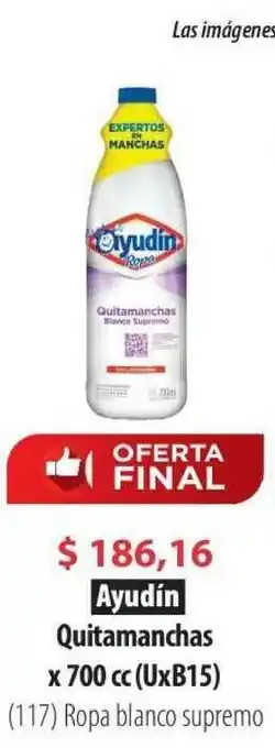 Parodi Ayudín Quitamanchas x 700 cc (UxB15) oferta