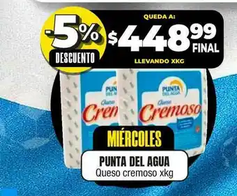Maxi Ofertas Punta Del Agua Queso Cremoso xkg oferta