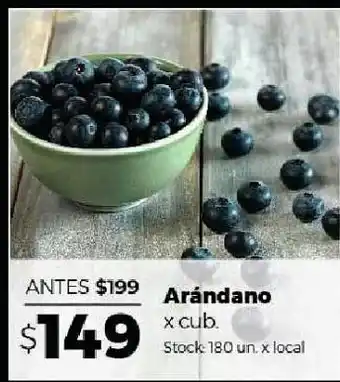 Disco Arándanos oferta