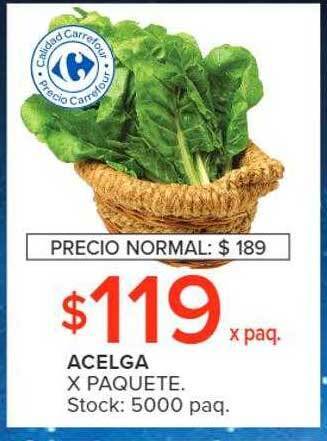 Carrefour Acelga oferta