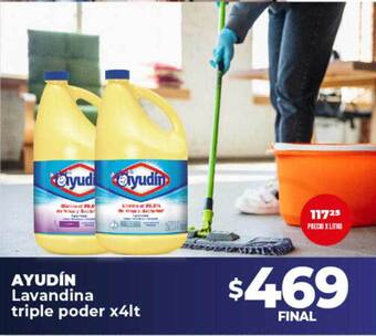 Supermayorista Vital Ayudín lavandina triple poder oferta