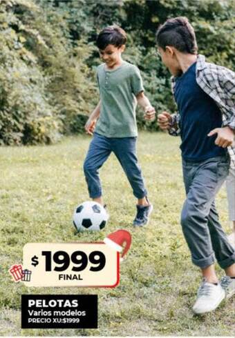 Supermayorista Vital Pelotas varios modelos oferta