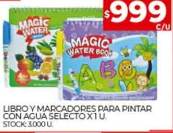 Supermercados DIA Libro Y Marcador Para Pintar Con Agua Selecto x 1 u, oferta