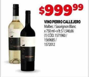 Vino perro callejero