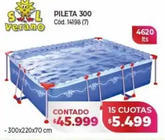 Naldo Lombardi Pileta 300 oferta