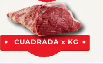 Atlas Hipermayorista Cuadrada x kg oferta