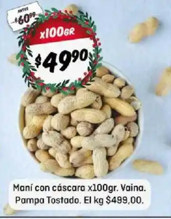 Maní con cáscara vaina pampa tostado