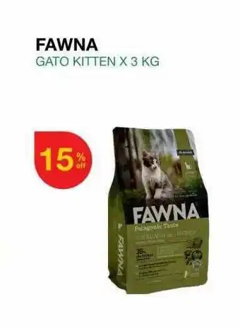 Puppis Fawna gato kitten oferta