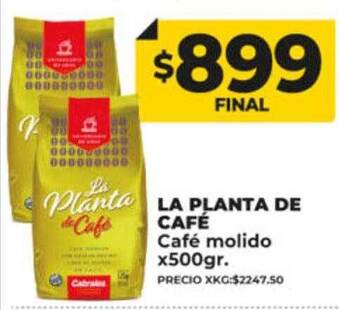Supermayorista Vital La planta de café café molido oferta