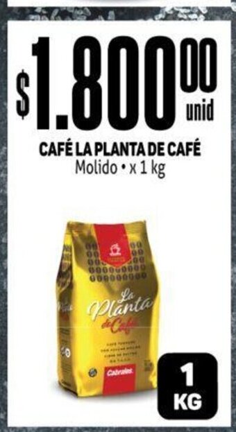 Makro Café La Planta De Café oferta