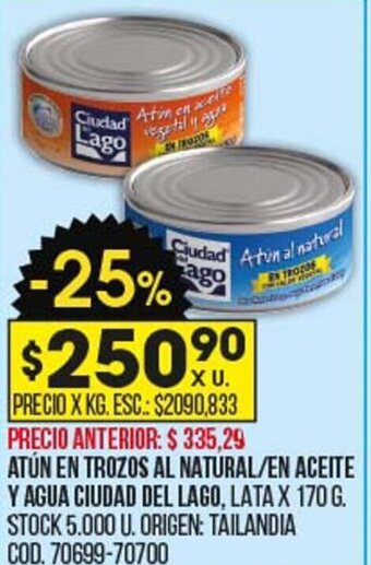 Coto Atún En Trozos Al Natural / En Aceite Y Agua Ciudad Del Lago oferta