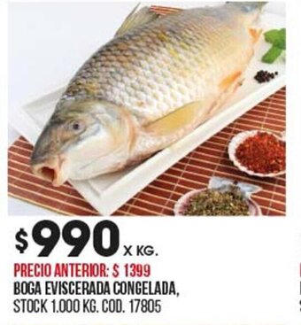 Coto Boga Eviscerada Congelada oferta