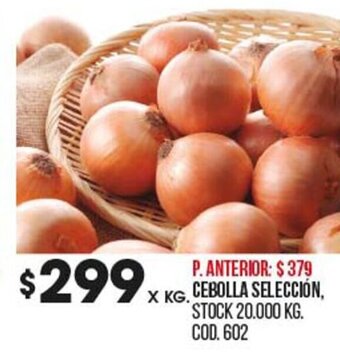 Coto Cebolla Selección oferta