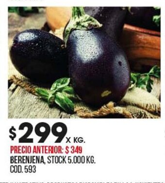 Coto Berenjena oferta