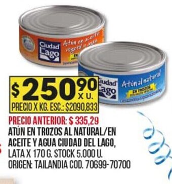 Coto Atún En Trozos Al Natural / En Aceite Y Agua Ciudad Del Lago oferta