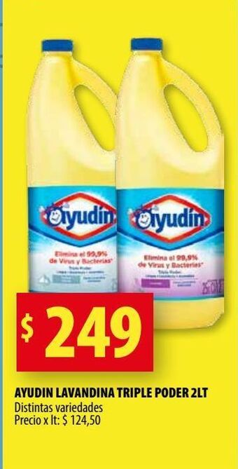 Punto Mayorista Lavandina ayudin 2l oferta