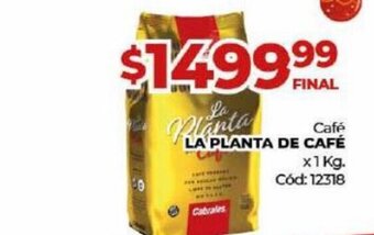 Diarco Café La Planta De Café oferta