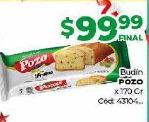 Diarco Budin pozo oferta