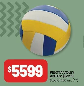 Changomas Pelota voley oferta