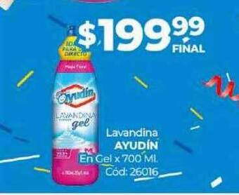 Diarco Lavandina ayudín en gel oferta