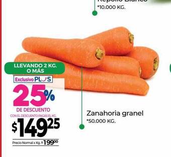 La Anonima Zanahoria granel oferta