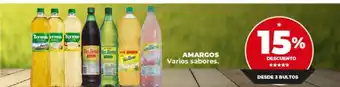 Supermayorista Vital Amargos Varios sabores oferta