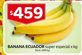 Cordiez Banana Ecuador super especial x kg. oferta