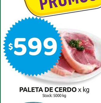 Cordiez Paleta de Cerdo x kg oferta