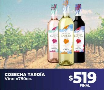 Supermayorista Vital Cosecha tardía vino oferta