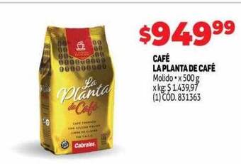 Makro Café la planta de café oferta