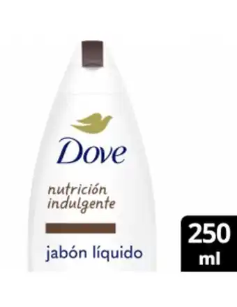 Farmacias Líder Dove nutrición indulgente jabón líquido corporal leche de coco 250 ml oferta