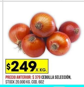 Coto Cebolla Selección oferta
