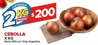 Carrefour Cebolla x kg oferta