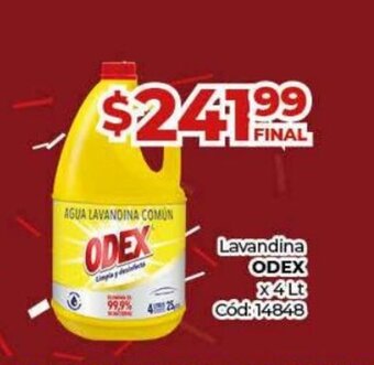 Diarco Lavandina odex oferta