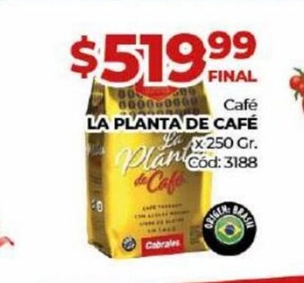Diarco Cafe La Planta De Cafê x 250gr. oferta