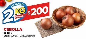Carrefour Maxi Cebolla x kg oferta