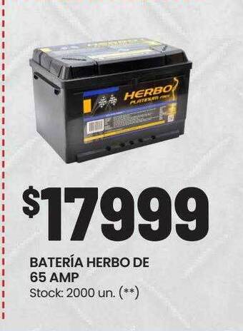 Changomas Bateria herbo de 65 amp oferta