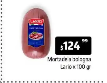 Autoservicio Capo Mortadela Lario x 100 gr. oferta