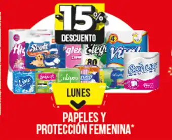 Supermayorista Vital Papeles Y Protección femenina oferta