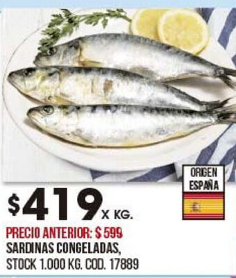 Coto Sardinas Congeladas oferta