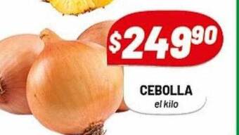 Almacor Cebolla oferta