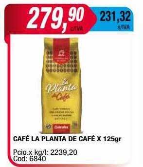Maxiconsumo Café la planta de café oferta