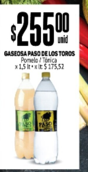 Makro Gaseosa Paso De Los Toros oferta