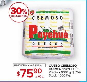 Carrefour Maxi Queso cremoso puyehué horma x 100g oferta
