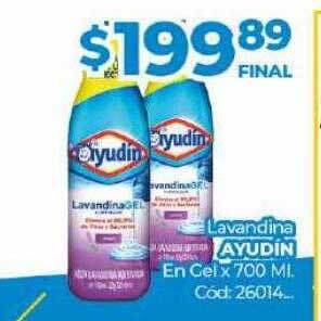Diarco Lavandina ayudín oferta